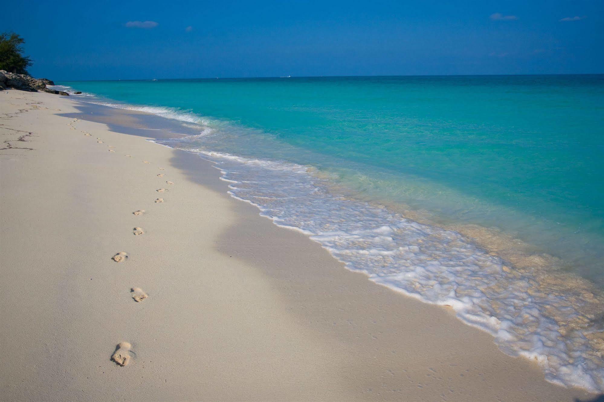 Resorts World Bimini Bayley Town المظهر الخارجي الصورة